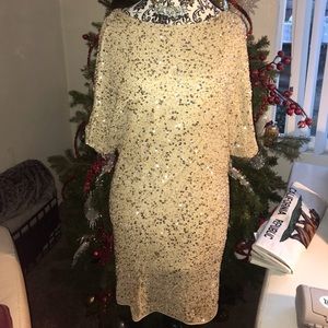 Cache champagne sequin dress